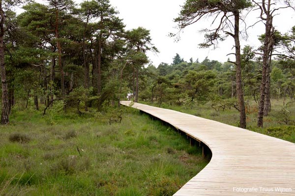 Vlonderpad in Umfassungsweg